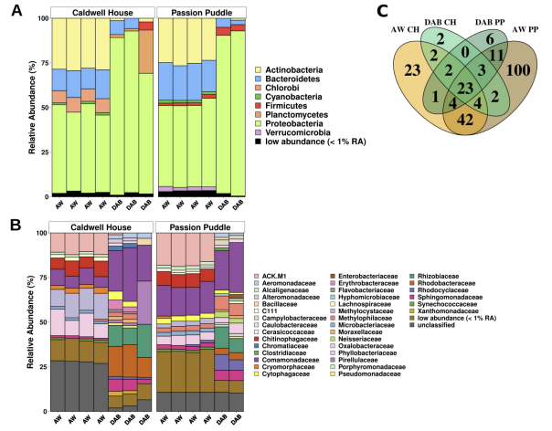 Stacked bar charts comparing bacterial abundance in duckweed samples and a Venn diagram comparing bacterial communities