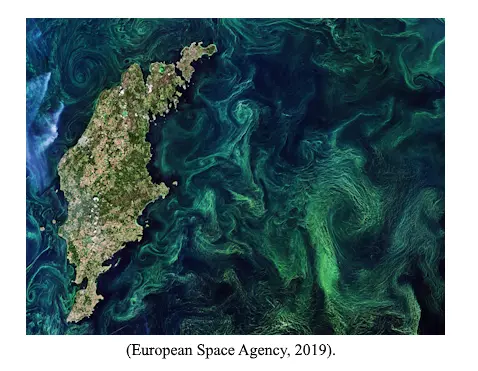 Satellite view of a swirling green harmful algal bloom surrounding an island in the Baltic Sea
