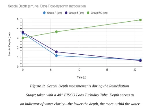 Line chart comparing Secchi depth in two water-hyacinth groups and a control after water hyacinth introduction